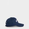 D2 College Baseball Cap
